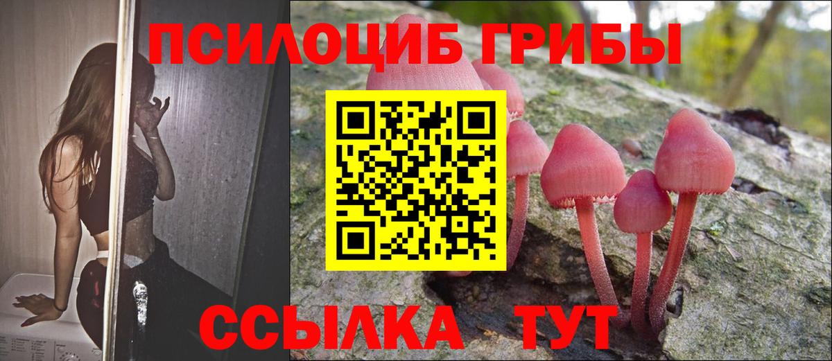 Псилоцибиновые грибы Cubensis  Вход с VPN  Галлюциногенные грибы ЛСД  Камышлов 